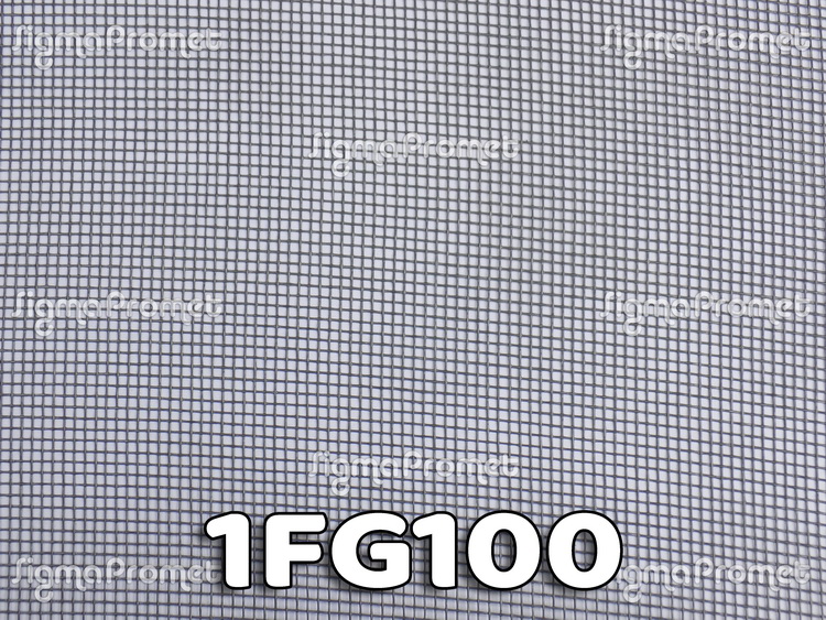 1FG100