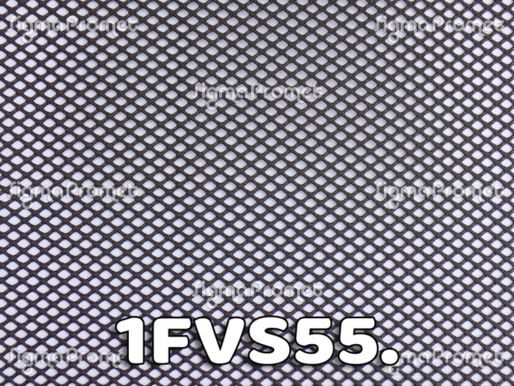 1FVS55.