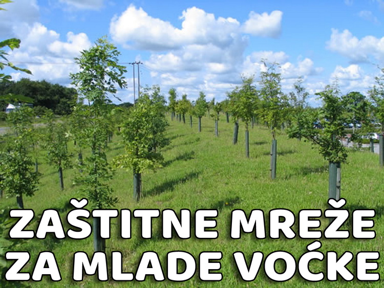 zaštitne mreže za mlade voćke